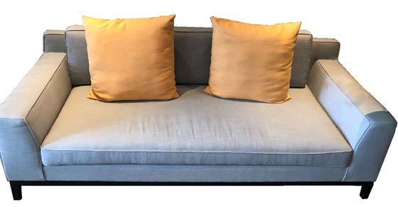 Modern Minimalist Customization High Density Foam Couch Bedroom Couches Loveseats Durability